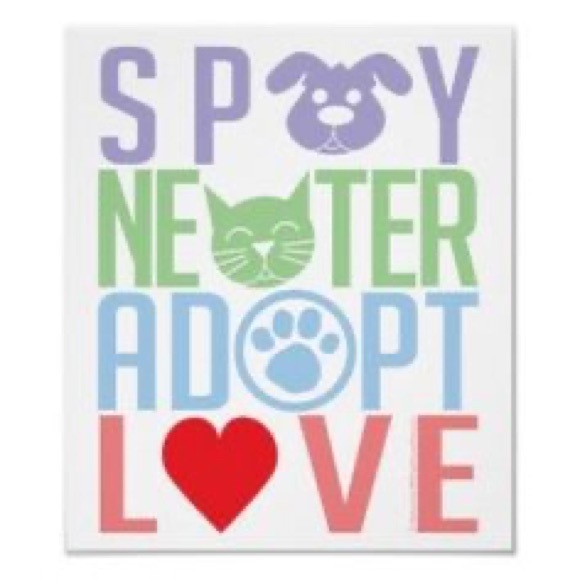 Meet your Posher, Elizabeth - Picture 4 of 12